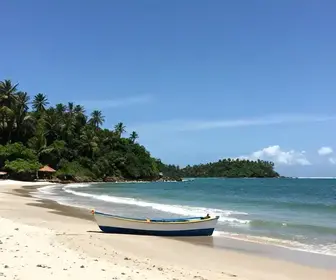 25 melhores dicas de viagem para Alagoas