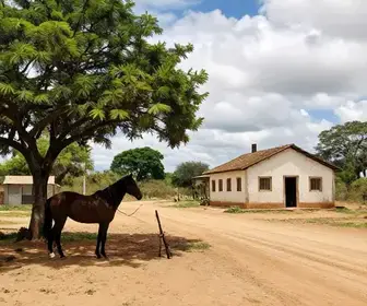 A História do Cangaço em Alagoas: Raízes e Influências