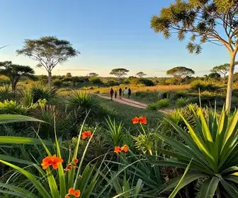 As Melhores Trilhas em Maragogi: Uma Aventura em Alagoas