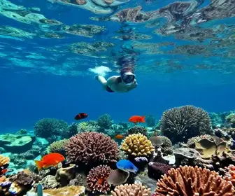 Aventuras de Snorkel nas Águas Cristalinas de Alagoas