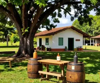 Cachaçaria Coração da Mata: Uma Experiência Única em Alagoas