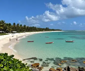 Descubra a Encantadora Costa dos Corais em Alagoas