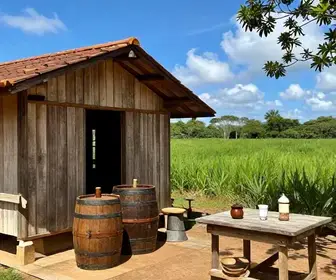 Descubra a Rota da Cachaça em Alagoas: Tradição e Sabor