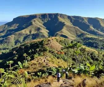 Descubra a Serra da Barriga: Atrações e Trilhas Imperdíveis em Alagoas