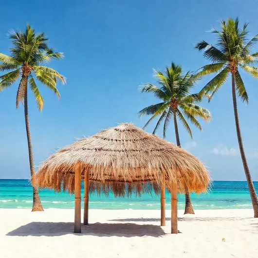 Descubra Alagoas: O Paraíso Brasileiro