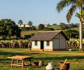 Descubra as Casas de Farinha em Alagoas: Um Patrimônio Cultural