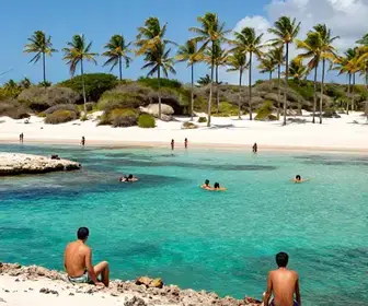 Descubra as Deslumbrantes Piscinas Naturais de Pajuçara