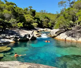 Descubra as Encantadoras Piscinas Naturais do Patacho em Alagoas