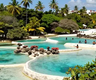 Descubra as Maravilhas das Piscinas Naturais de Ipioca em Alagoas