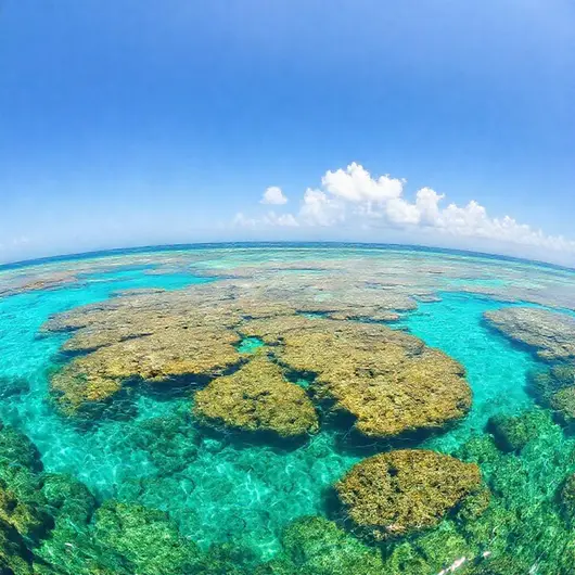 Descubra as Piscinas Naturais de Maceió