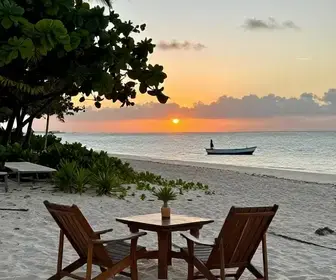 Descubra o Destino Perfeito para sua Lua de Mel: Alagoas