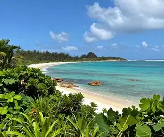 Descubra o Encanto da Costa dos Corais em Alagoas