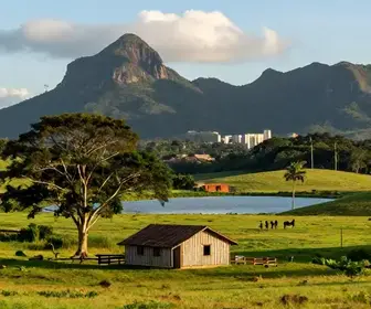 Descubra o Encanto do Turismo Rural em Alagoas