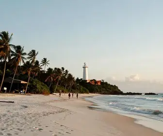 Descubra o Farol do Pontal do Coruripe: Um Ícone de Alagoas
