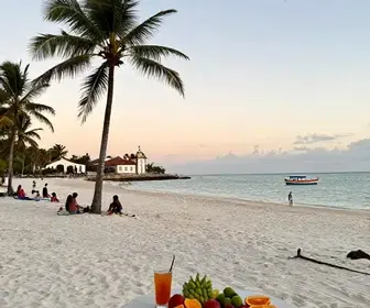 Descubra o Melhor Roteiro de 15 Dias em Alagoas