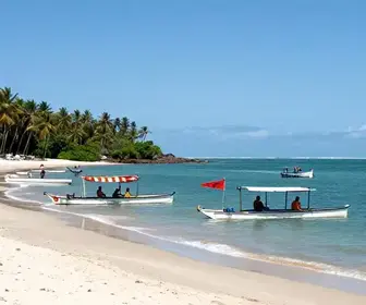 Descubra o Melhor Roteiro de 3 Dias em Alagoas