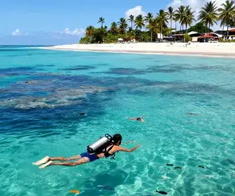 Descubra o Mergulho em Maceió: Uma Aventura nas Águas Alagoanas