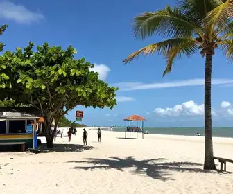 Descubra o que Fazer em Coruripe, Alagoas: Dicas e Atrações