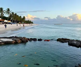 Descubra o Que Fazer em Maragogi: Um Paraíso em Alagoas