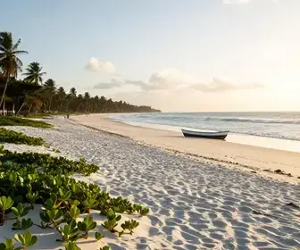 Descubra o que Fazer em Passo de Camaragibe, Alagoas