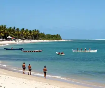 Descubra O Que Fazer em São Miguel dos Milagres, Alagoas