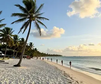 Descubra Tudo Sobre o Que Fazer em Jequiá da Praia