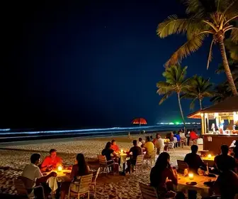 Explorando a Vida Noturna de Maragogi: Dicas e Atrações Imperdíveis