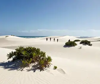 Explorando as Encantadoras Dunas de Marapé em Alagoas