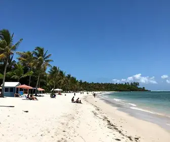 Explorando o Litoral Sul de Alagoas: Um Roteiro Imperdível
