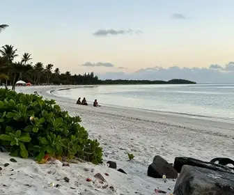 Explore o Encanto de Maceió e as Belezas de Milagres