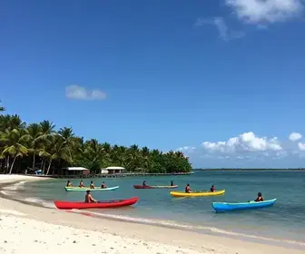 Explore o Passeio de Jangada em Pajuçara: Uma Experiência Inesquecível