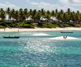 Explore os Melhores Passeios de Catamarã em Alagoas