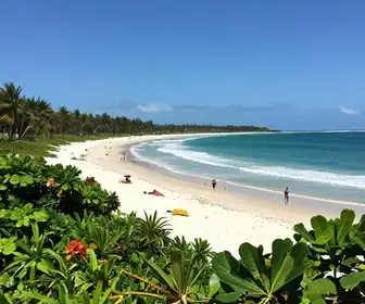 Melhores praias em Alagoas: 3 escolhas bem avaliadas